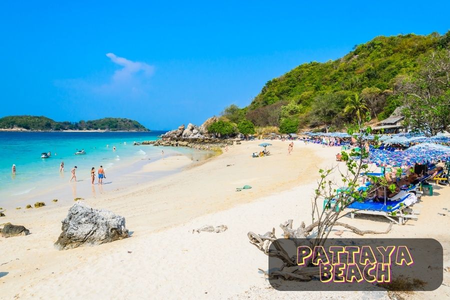 Pattaya & Bangkok Tour Package