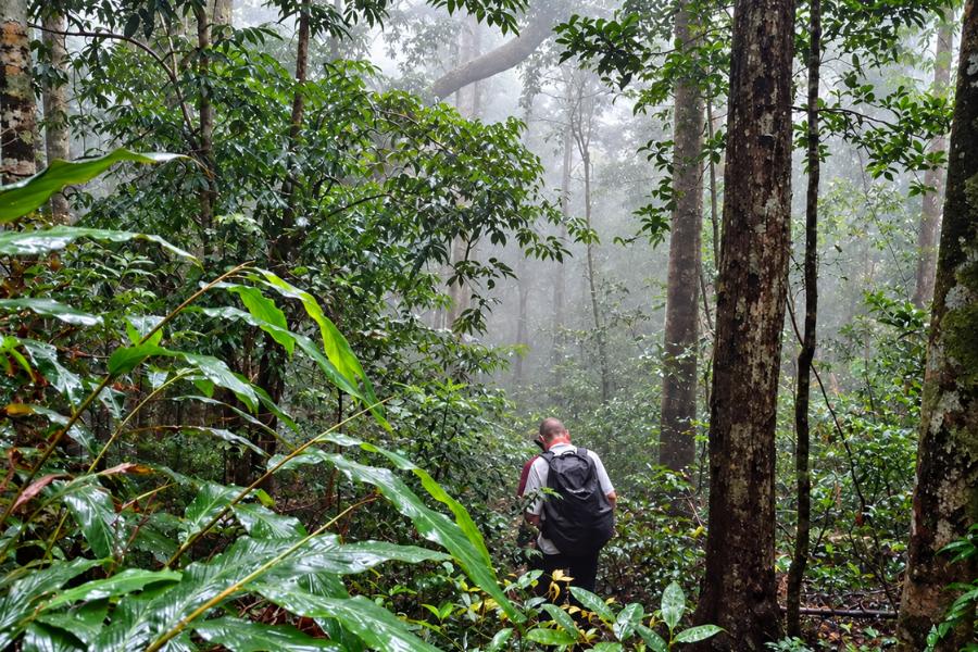 Aural Mountain Trek – Cambodia’s Tallest Peak Challenge