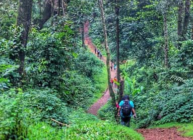 Coorg Trekking Packages