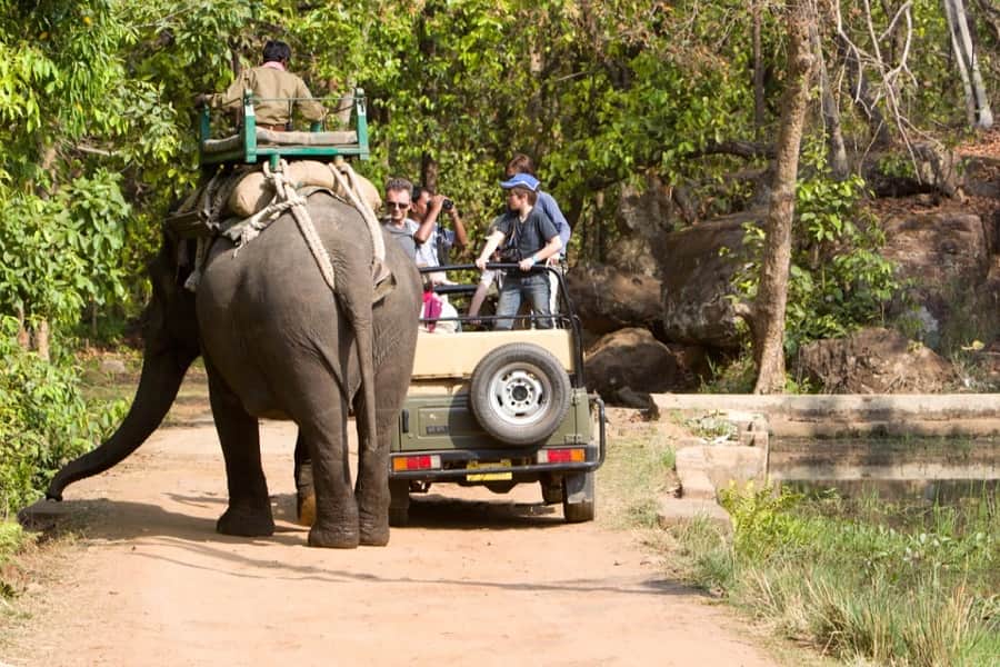 bandhavgarh national park tour package