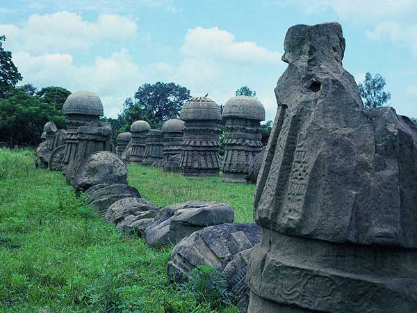 Dzukou Valley & Japfu Peak Trek, Nagaland