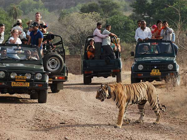 Golden Triangle Tour with Ranthambore