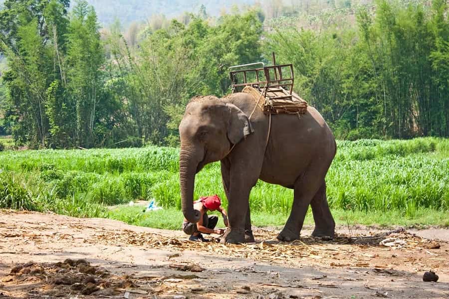 Jim Corbett Family Tour