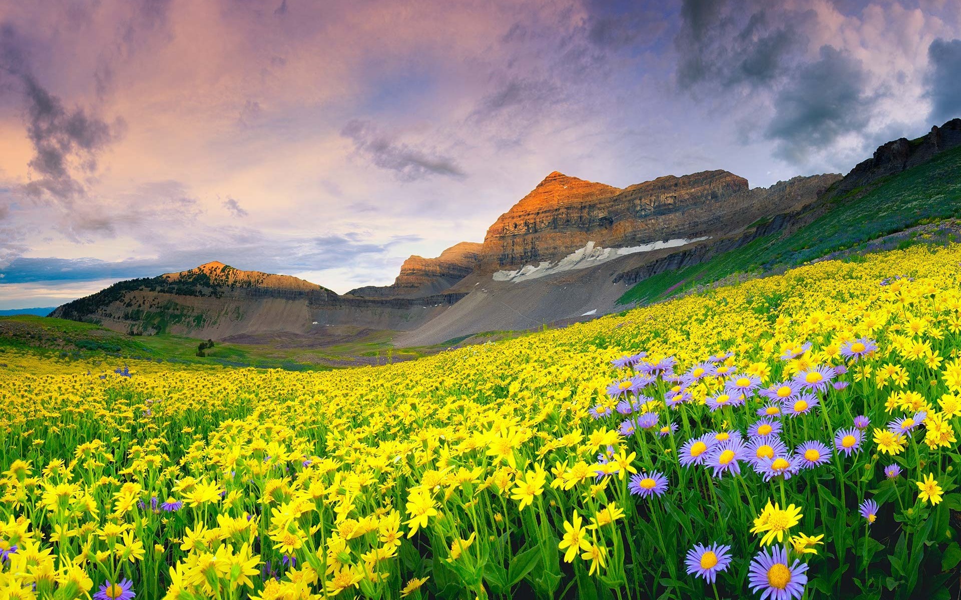 Valley of Flowers Trek, Uttarakhand